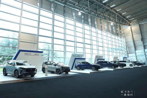 地平線發布新產品,用 芯 為自動駕駛打地基