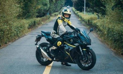 叫我地平線 諾馬 搭載自主研發255cc雙缸發動機，價格成最大亮點